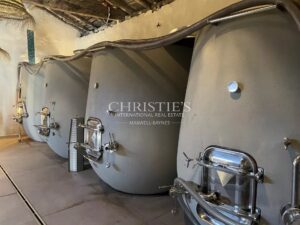 Sumptuous Chartreuse estate with vineyard near Saint-Emilion