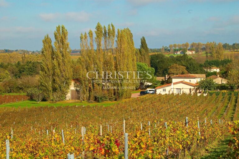 Turnkey 9-hectare vineyard estate