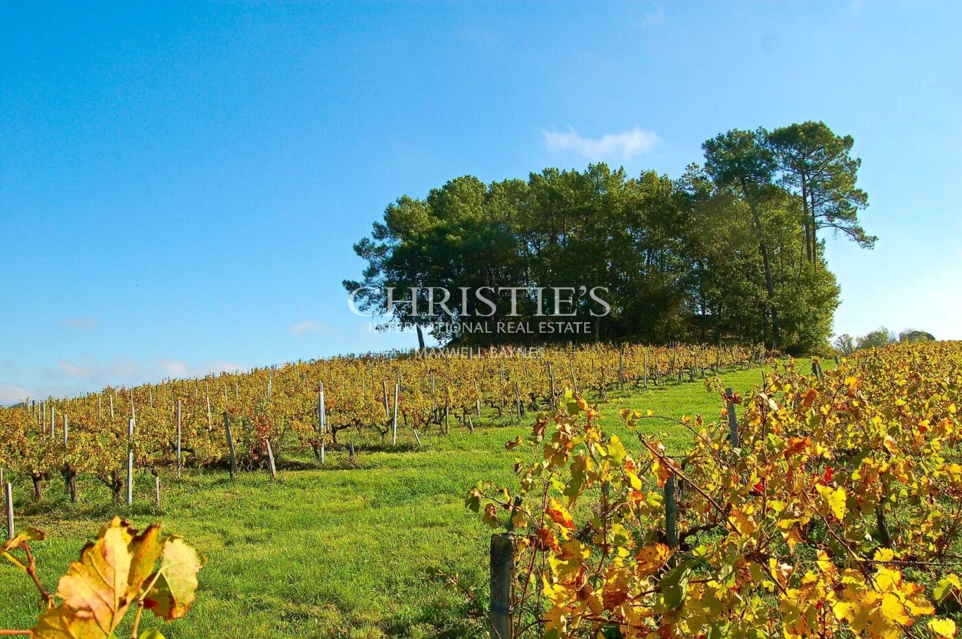 Turnkey 9-hectare vineyard estate