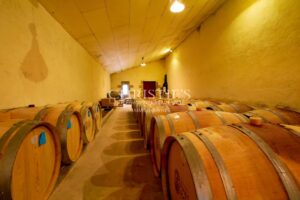 Turnkey 9-hectare vineyard estate