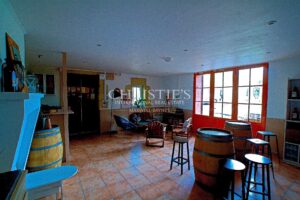 Turnkey 9-hectare vineyard estate