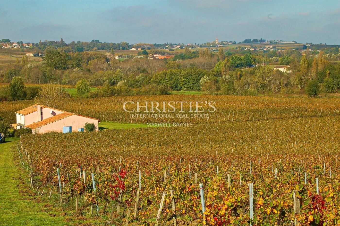 Turnkey 9-hectare vineyard estate