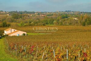 Propriété viticole biologique de 9 hectares clé-en-main