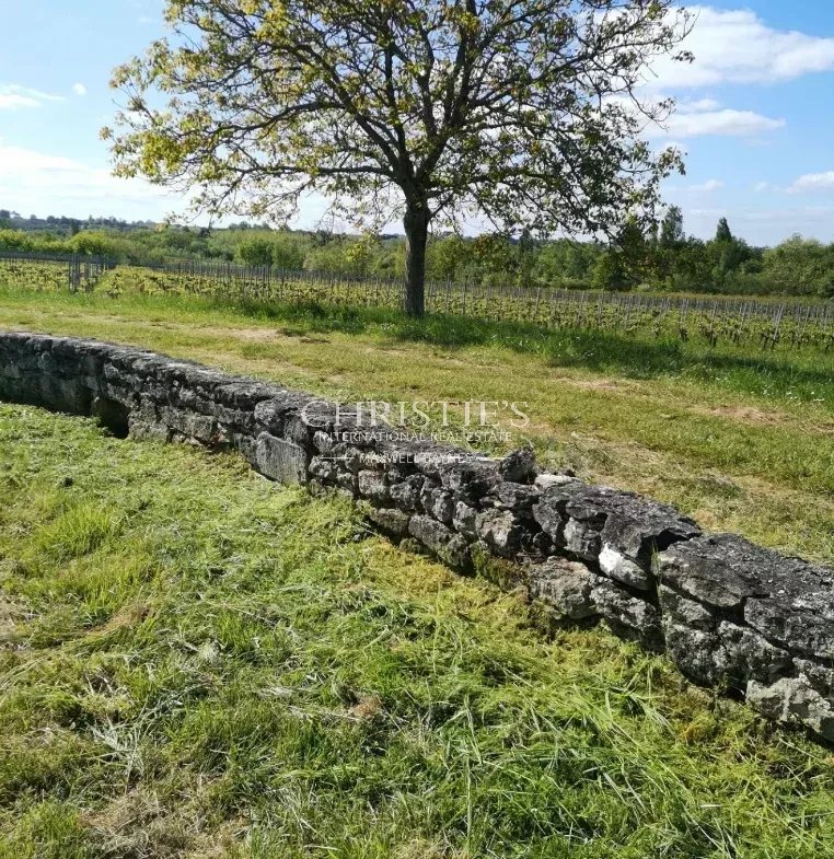 Propriété viticole biologique de 9 hectares clé-en-main