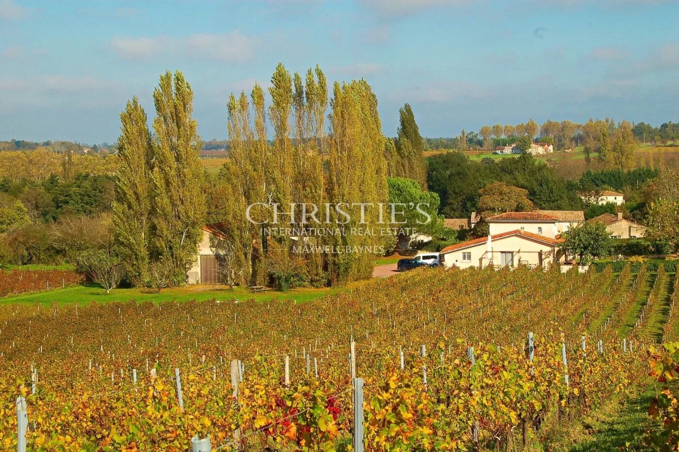 Propriété viticole biologique de 9 hectares clé-en-main