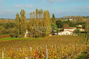 Propriété viticole biologique de 9 hectares clé-en-main