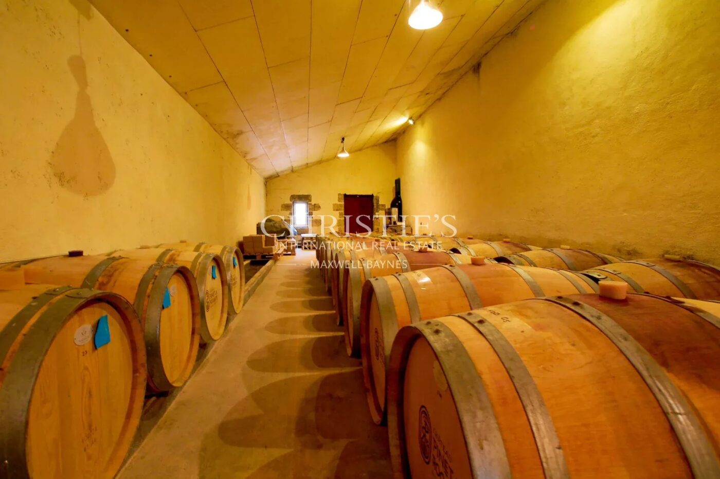 Propriété viticole biologique de 9 hectares clé-en-main