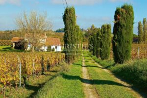 交钥匙的 9 公顷葡萄园庄园 — 有机葡萄园(仅一块),维护良好 — 房屋已翻新