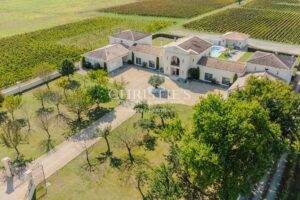 Impressionnante propriété de 6.5 ha - Vignoble en AOC Haut Médoc - Oenotourisme