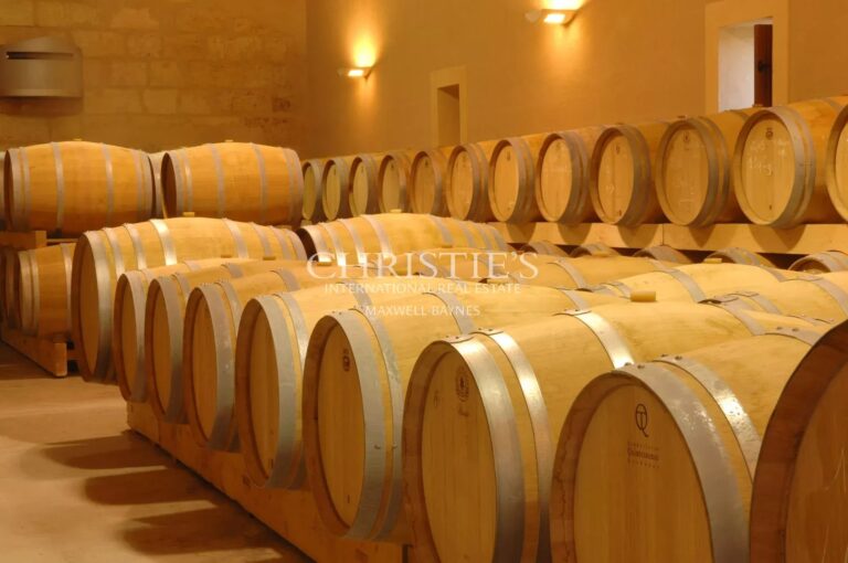 Exceptional 30 ha  vineyard on the Right Bank