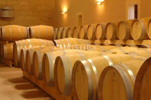 Vignoble d'exception de 30 ha sur la Rive Droite