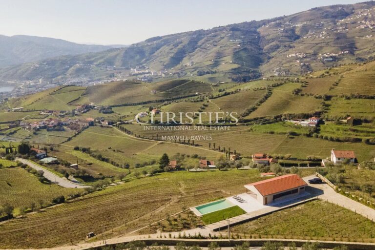 Portugal vineyard estate close to Porto - Douro Valley gem