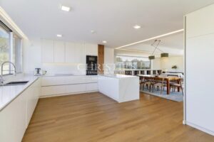 Portugal vineyard estate close to Porto - Douro Valley gem