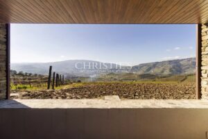 Portugal vineyard estate close to Porto - Douro Valley gem