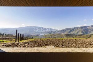 Portugal domaine viticole près de Porto Joyau de la vallée du Douro