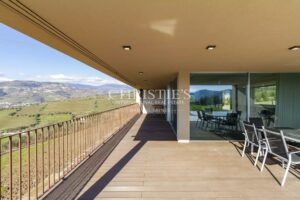 Portugal vineyard estate close to Porto - Douro Valley gem