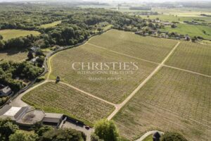 Exceptional Loire Valley Wine Estate with Grand Château, Impressive Chai, and 15 Hectares of AOC Vines