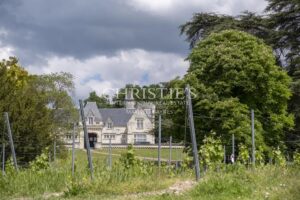 Château avec son vignoble Saumur AOC de 15Ha entre Chinon et Saumur