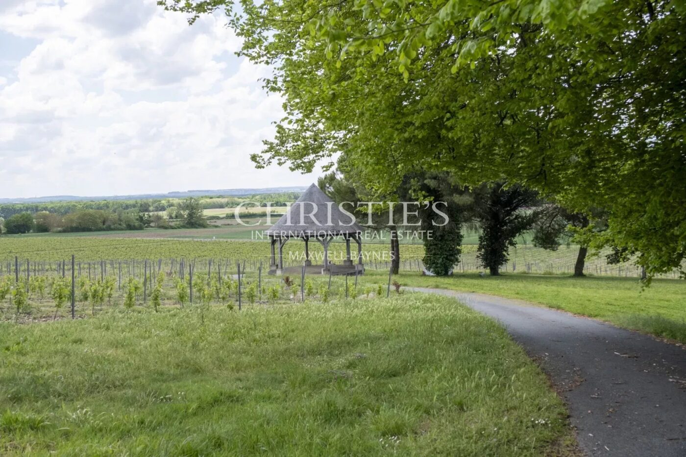Château avec son vignoble Saumur AOC de 15Ha entre Chinon et Saumur