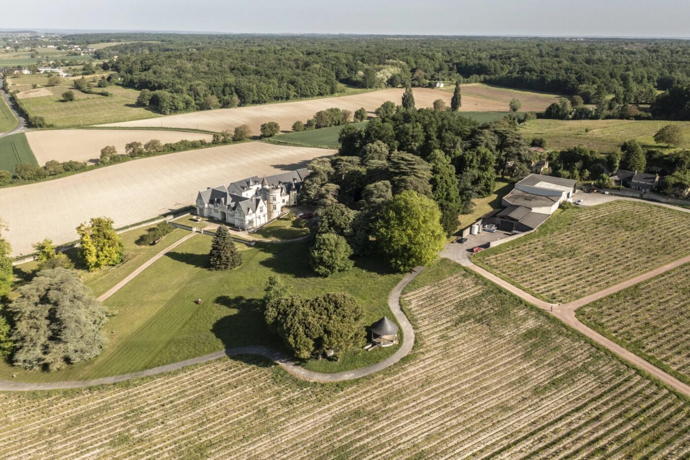 Château avec son vignoble Saumur AOC de 15Ha entre Chinon et Saumur
