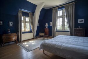 Château avec son vignoble Saumur AOC de 15Ha entre Chinon et Saumur