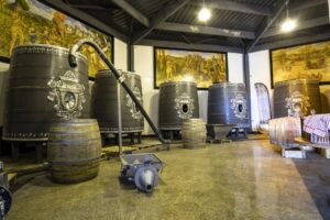 Château avec son vignoble Saumur AOC de 15Ha entre Chinon et Saumur
