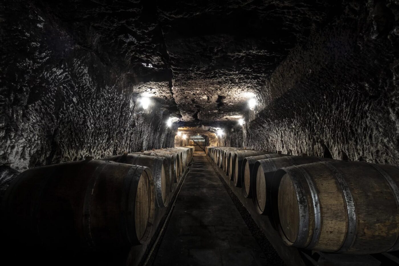 Château avec son vignoble Saumur AOC de 15Ha entre Chinon et Saumur