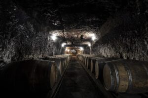 Château avec son vignoble Saumur AOC de 15Ha entre Chinon et Saumur