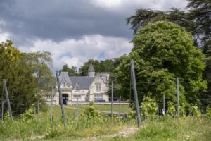Château avec son vignoble Saumur AOC de 15Ha entre Chinon et Saumur