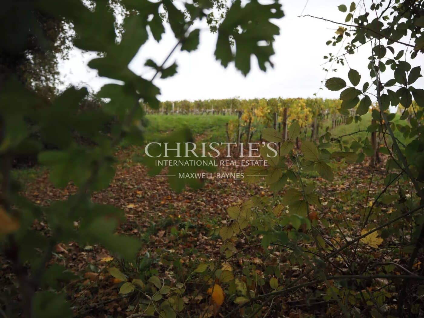 Domaine viticole d’exception au cœur de l’appellation Pomerol