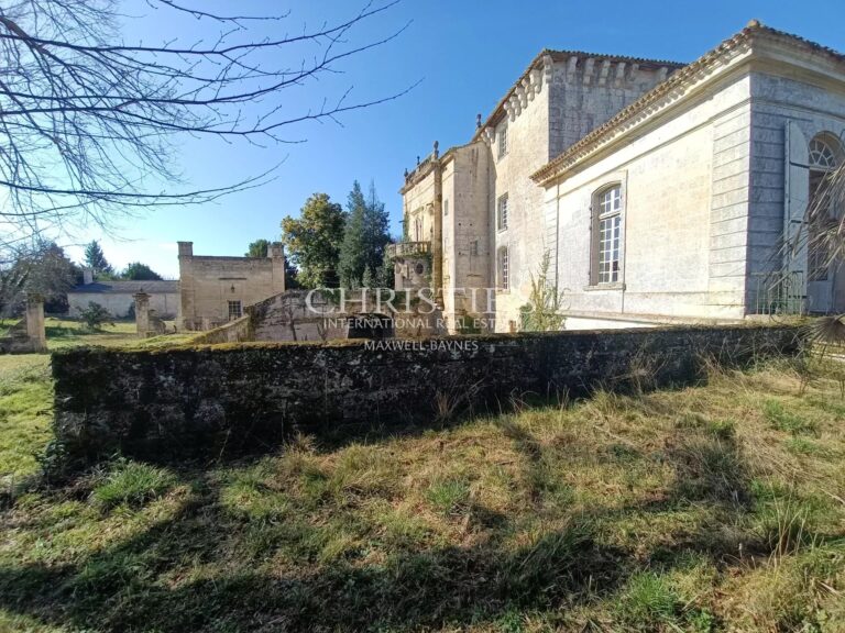 Former château with character and 12 ha of AOC Lussac Saint-Emilion vines