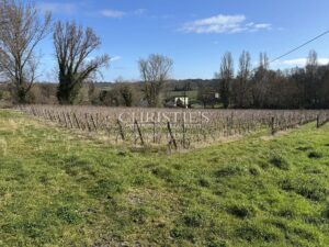 Ancien Château caractère avec 12 ha de vigne en AOC Lussac St Emilion