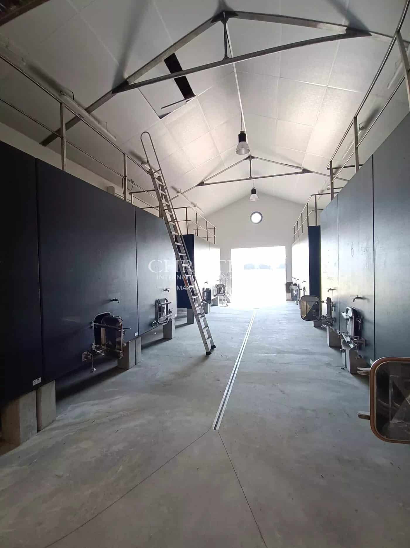 5 公顷 上梅多克aoc 葡萄园 配备现代化运营的建筑风格