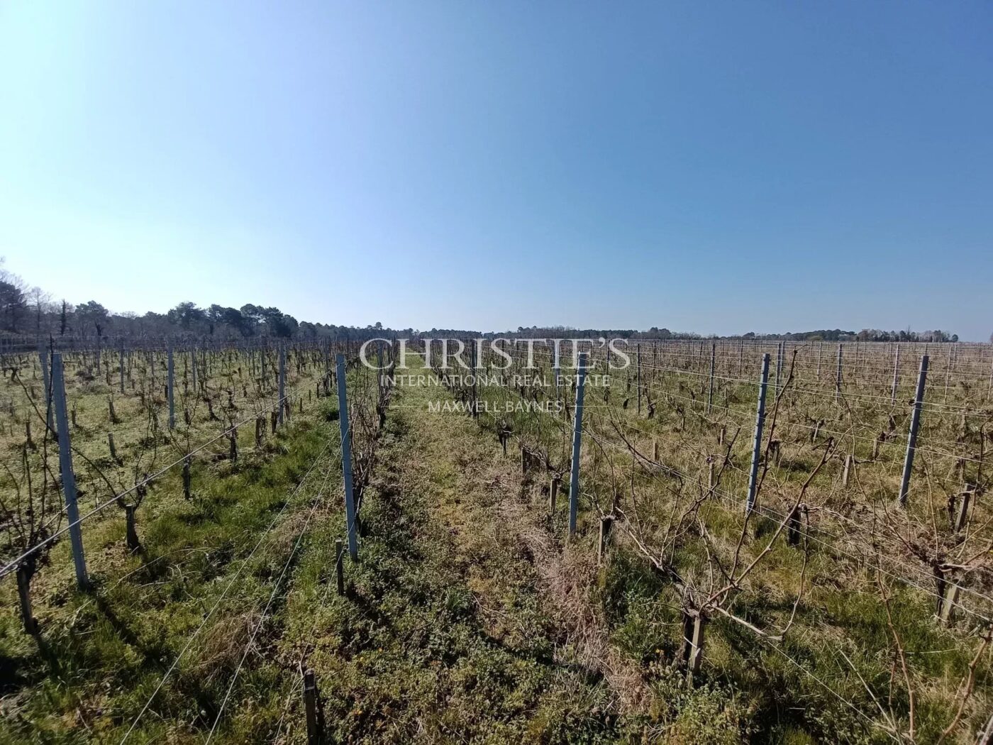 5 公顷 上梅多克aoc 葡萄园 配备现代化运营的建筑风格