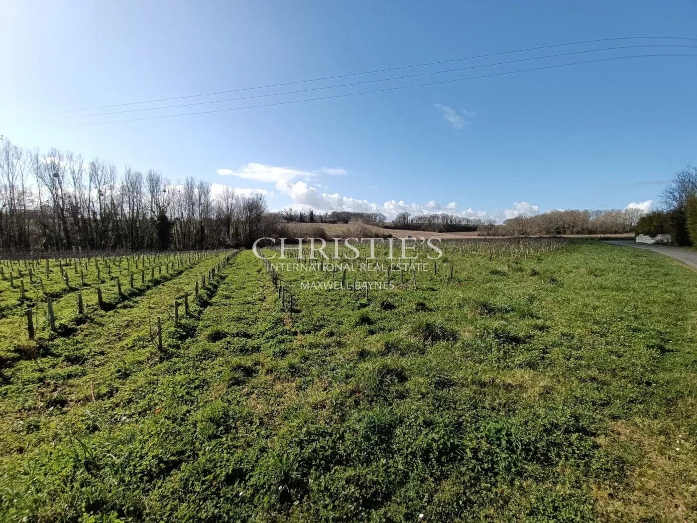 位于圣埃美隆(Saint-Émilion)附近的古老风格酒庄,拥有12公顷卢萨卡圣爱美隆AOC葡萄园,配备状况良好的酿酒设施