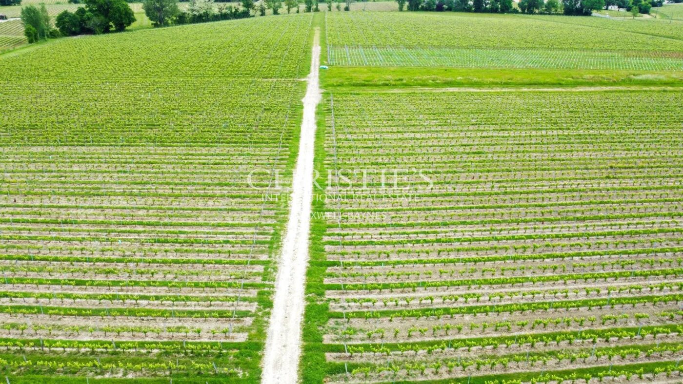 Propriété viticole de 28 ha en excellent état avec bâtiments de caractère
