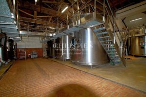 Propriété viticole de 28 ha en excellent état avec bâtiments de caractère