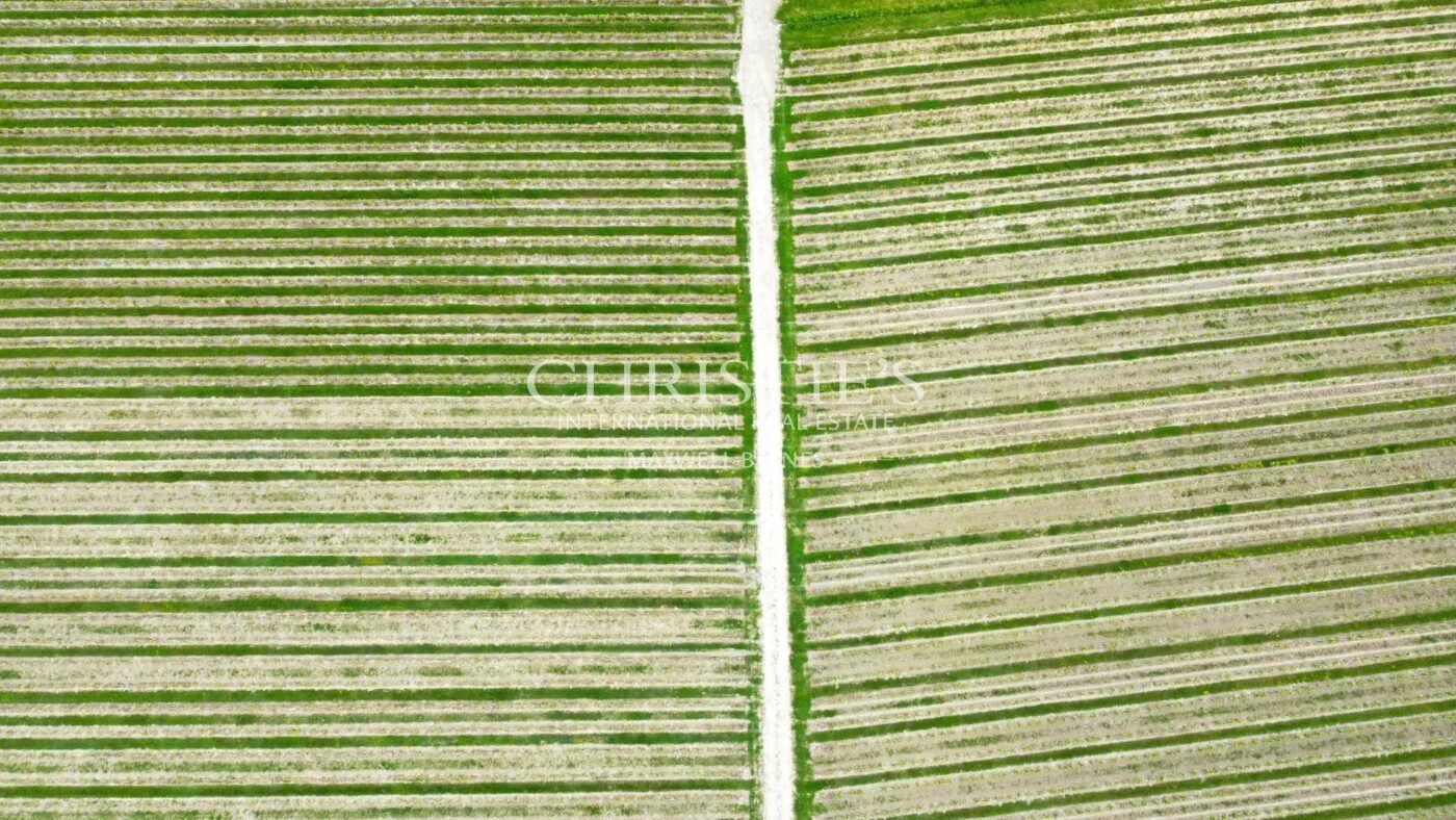 Propriété viticole de 28 ha en excellent état avec bâtiments de caractère