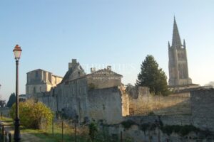 SAINT-ÉMILION: Historic 7-bedroom house with views of the vineyards, in the heart of the village