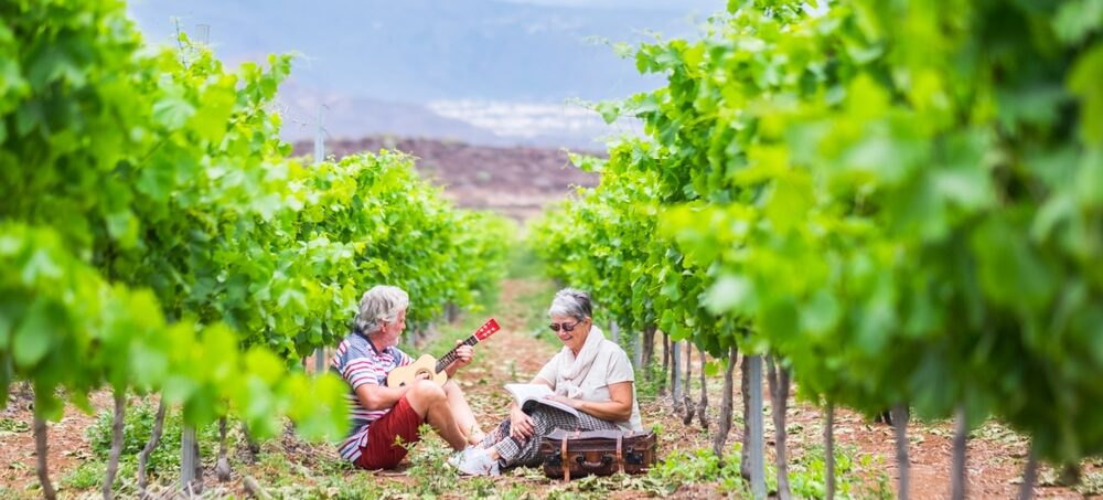 musique dans les vignes