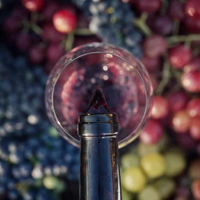 How to Invest in a Vineyard? How to Invest in a Vineyard?