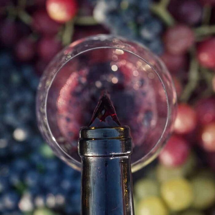 Comment investir dans un vignoble ? Comment investir dans un vignoble ?