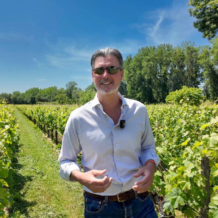 Commentary: The Evolution and Potential of Vineyard Investment in Bordeaux