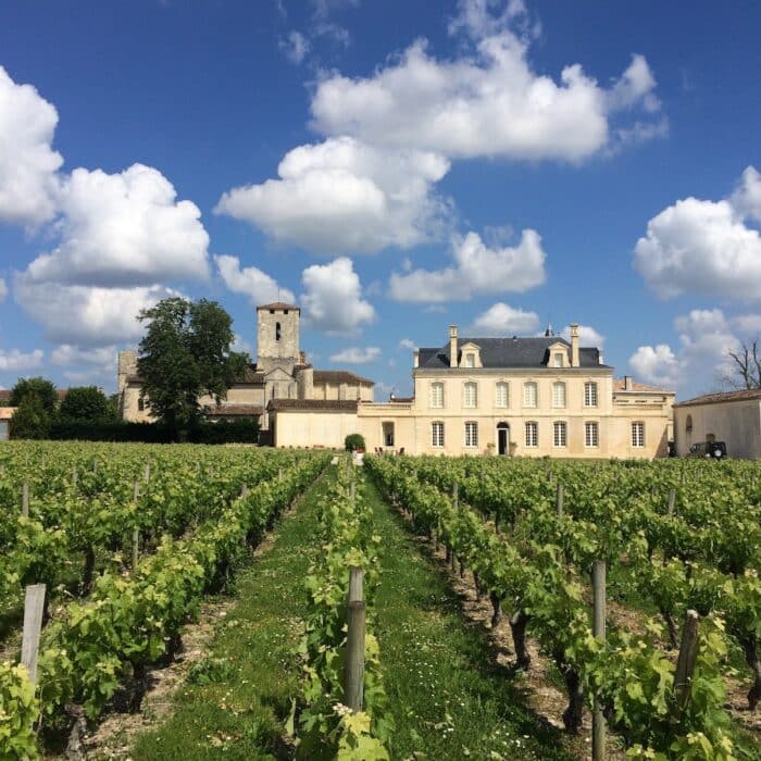 Understanding the Bordeaux Vineyard Market – 2025