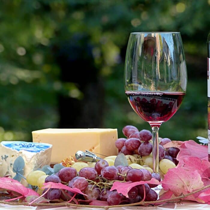 Quel vin avec le fromage : le guide complet des meilleurs accords
