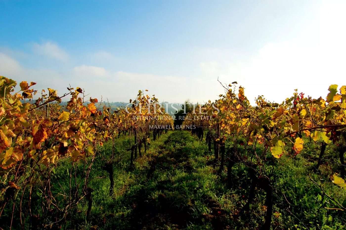 BORDEAUX 35MN - ENTRE-DEUX-MERS - SUPERBE DEMEURE EN PIERRE - 1,2 HECTARE - PISCINE