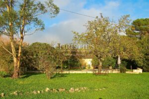 BORDEAUX 35MN - ENTRE-DEUX-MERS - SUPERBE DEMEURE EN PIERRE - 1,2 HECTARE - PISCINE