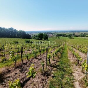 Terroir très qualitatif, Agriculture Biologique, 8 ha de vigne, 2 maisons, chai
