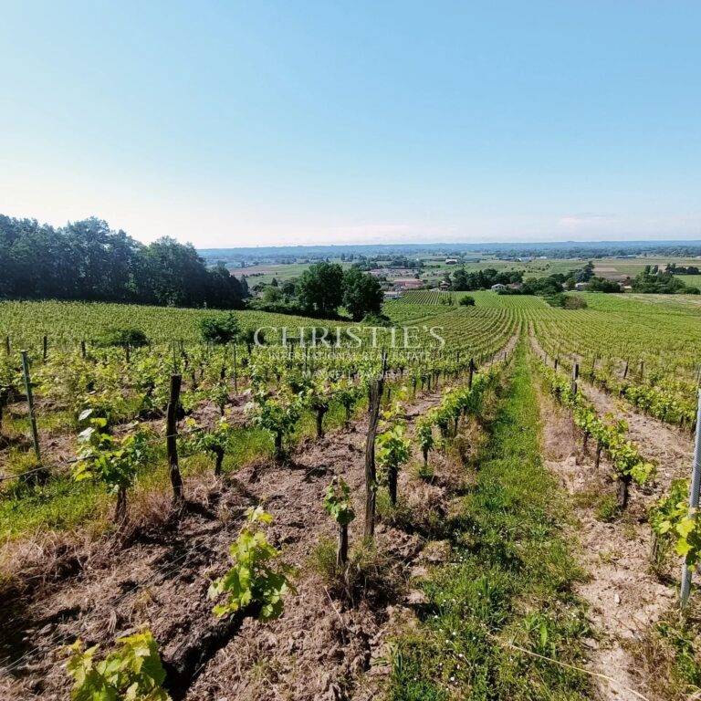 Terroir très qualitatif, Agriculture Biologique, 8 ha de vigne, 2 maisons, chai