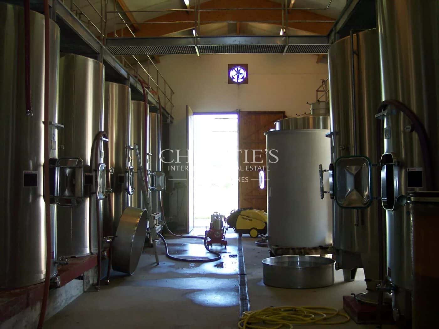 Terroir très qualitatif, Agriculture Biologique, 8 ha de vigne, 2 maisons, chai